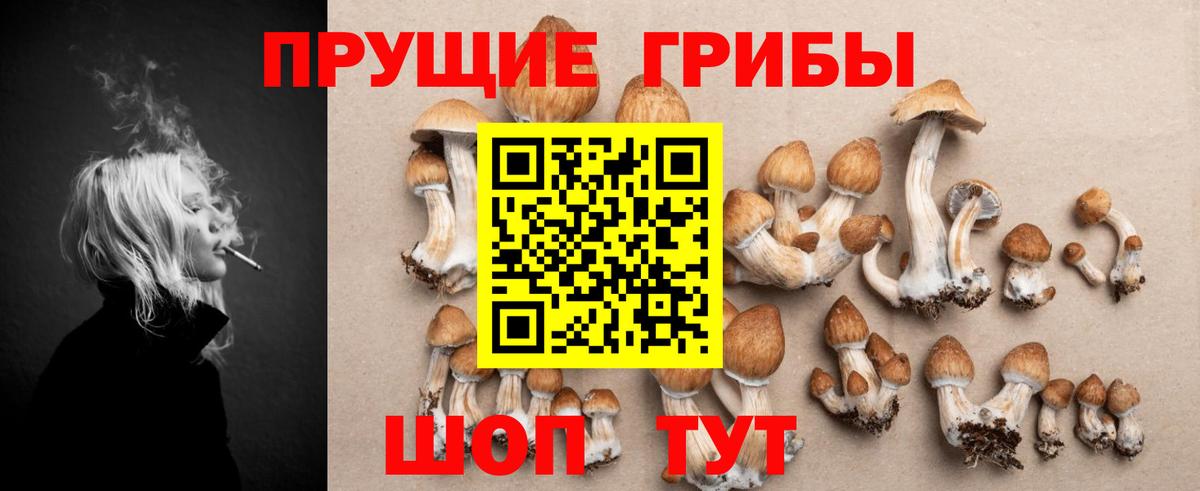Псилоцибиновые грибы Magic Shrooms  Вход с VPN  Полевской  Псилоцибиновые грибы Magic Shrooms 